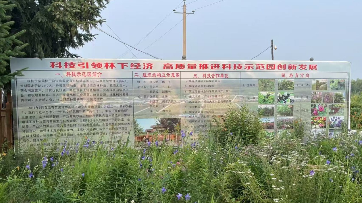 譜寫興綠富民新篇章——雙鴨山市深化集體林權(quán)制度改革激發(fā)林業(yè)高質(zhì)量發(fā)展活力紀(jì)實(shí)