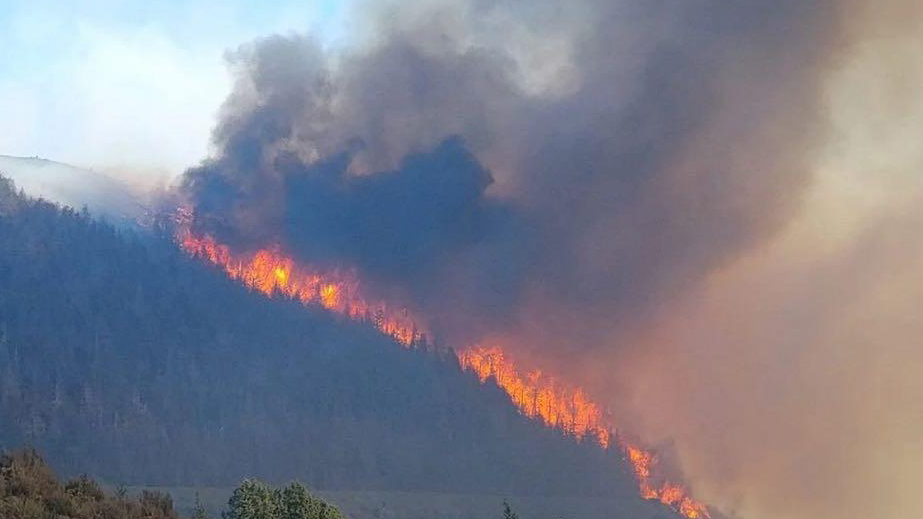 新西蘭一地發(fā)生大火 火勢(shì)已蔓延140公頃