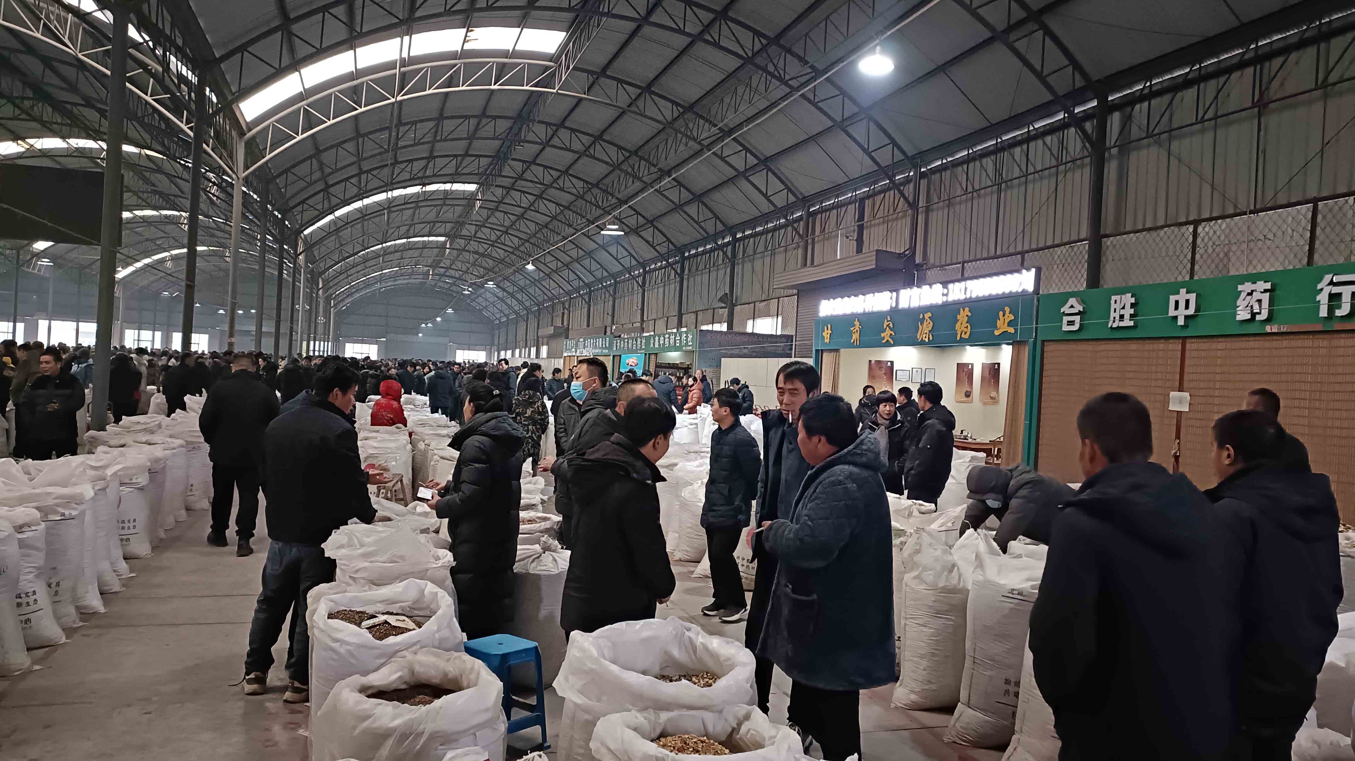 甘肅隴西 「藥貿(mào)」全球