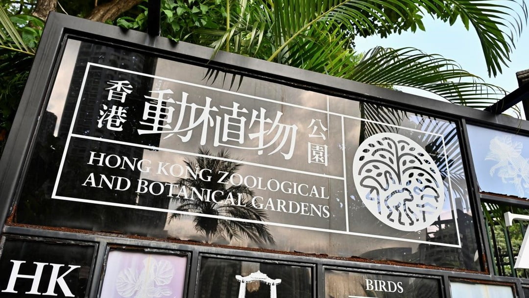 香港動植物公園哺乳類動物區(qū)13日重開