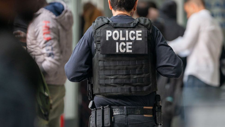 來(lái)美國(guó)參加個(gè)婚禮就被捕了？特朗普的移民政策能落地嗎？