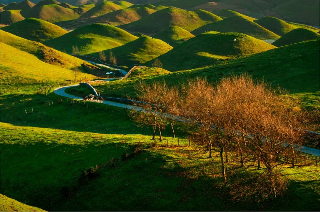 探索雙贏之道，綠色邵陽(yáng)綻放金光