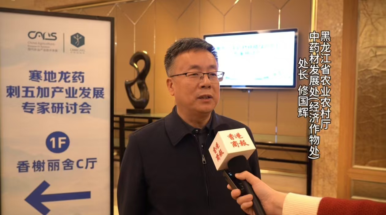 有片丨黑龍江：「寒地龍藥」刺五加由全國第一向世界第一邁進(jìn)