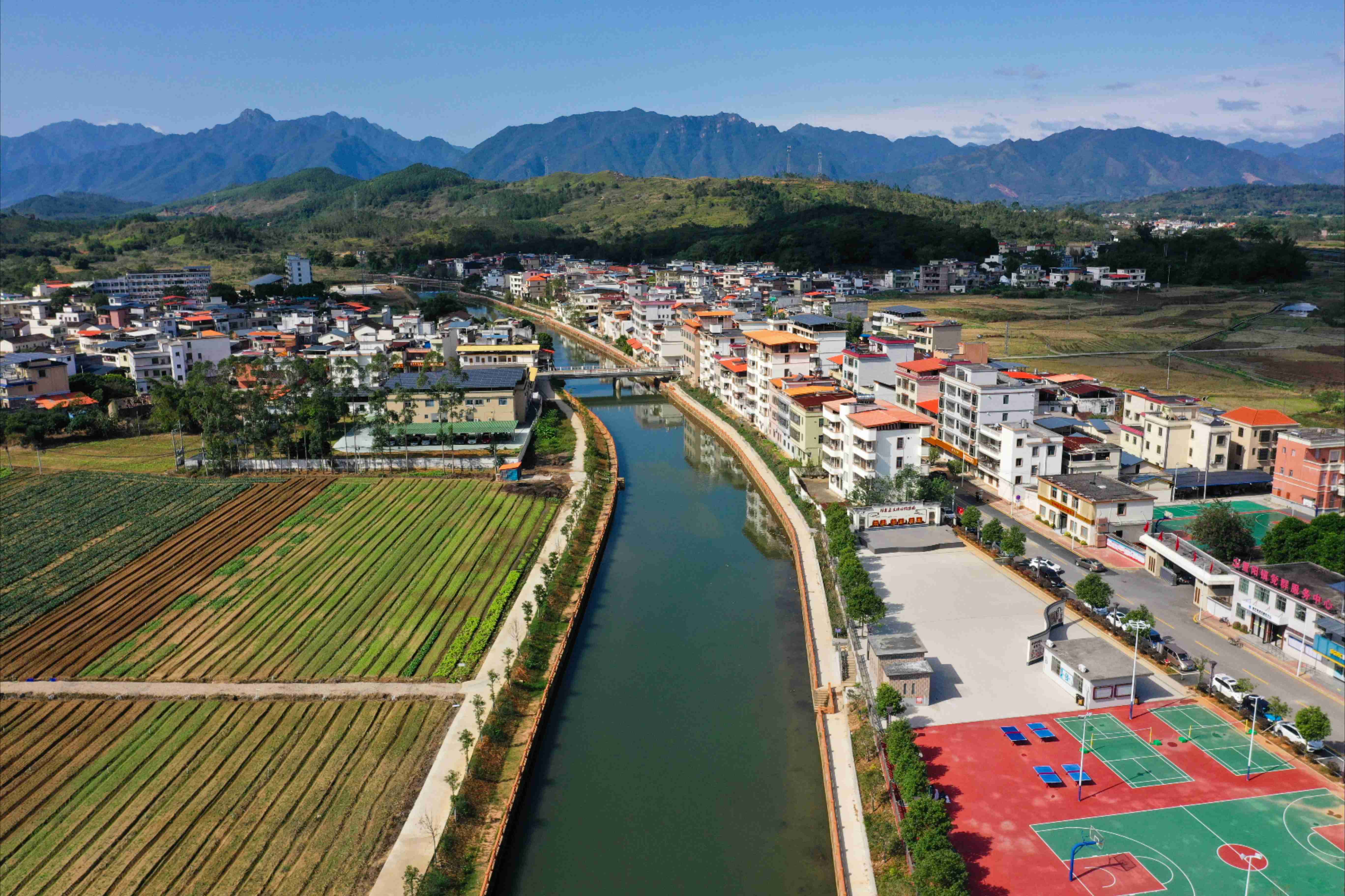 全力推動「百千萬工程」落地見效 賽龍奪錦重陽「鎮(zhèn)」當(dāng)其時