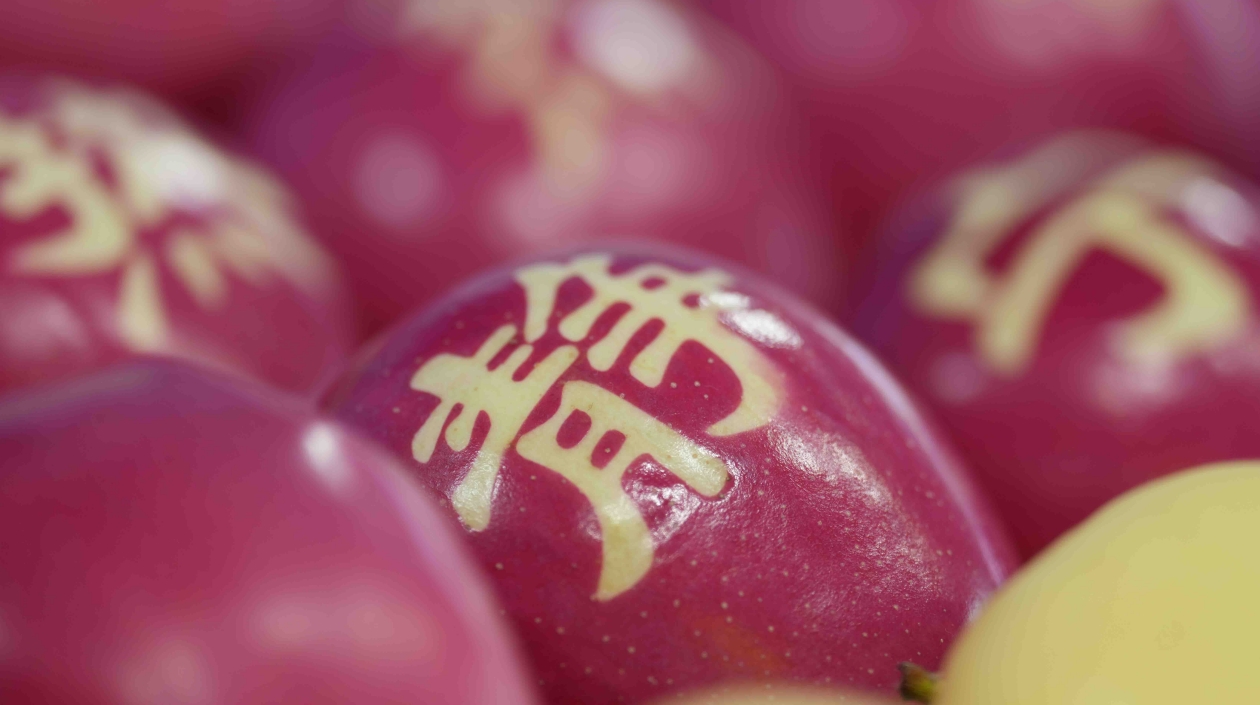 「靜寧蘋果」榮獲三產(chǎn)融合創(chuàng)新品牌