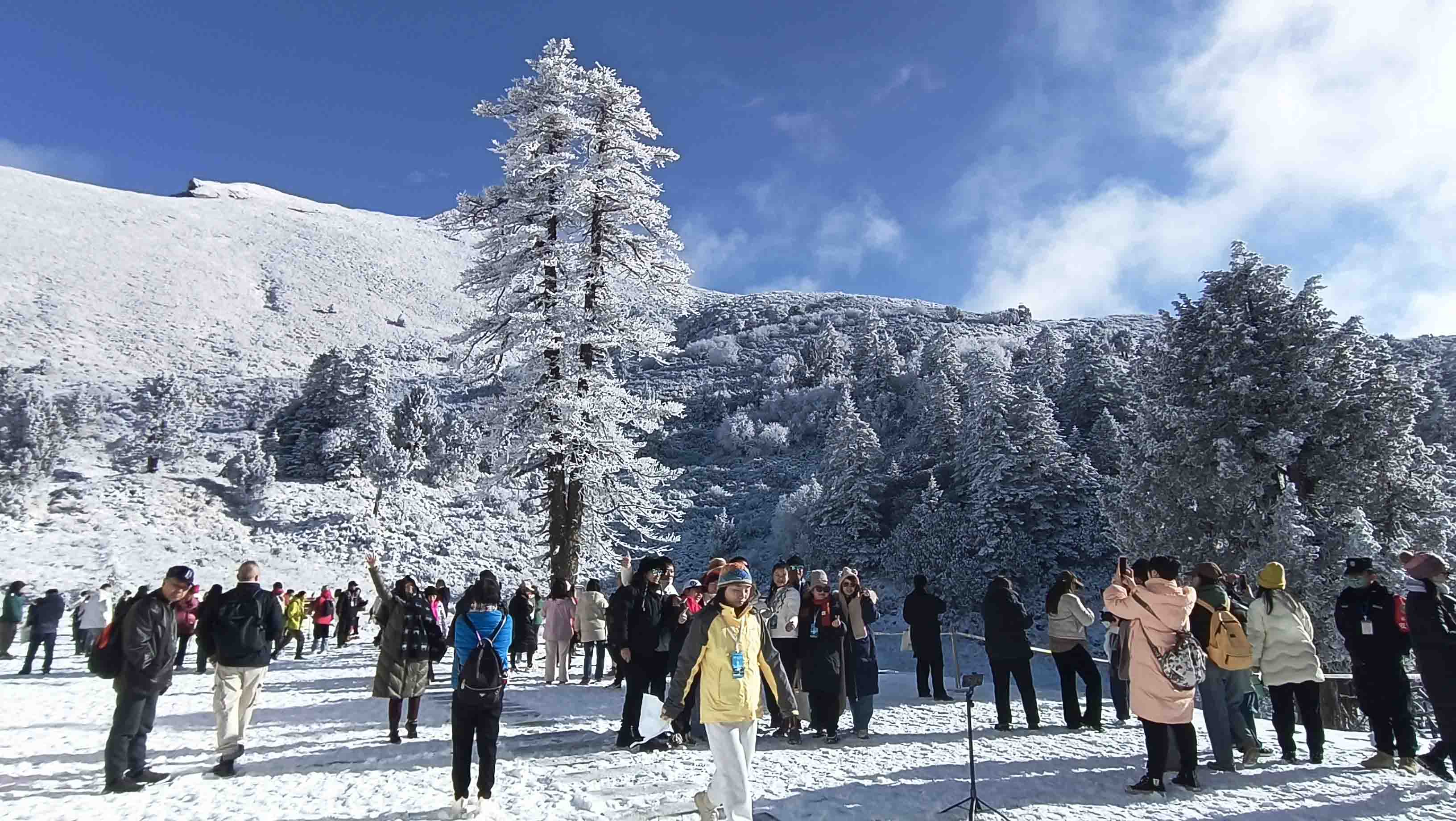 【康養(yǎng)中國】甘肅宕昌：文旅融合競芬芳 康養(yǎng)福地繪新景