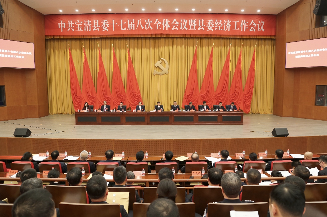 奮力譜寫現(xiàn)代化寶清建設(shè)新篇章