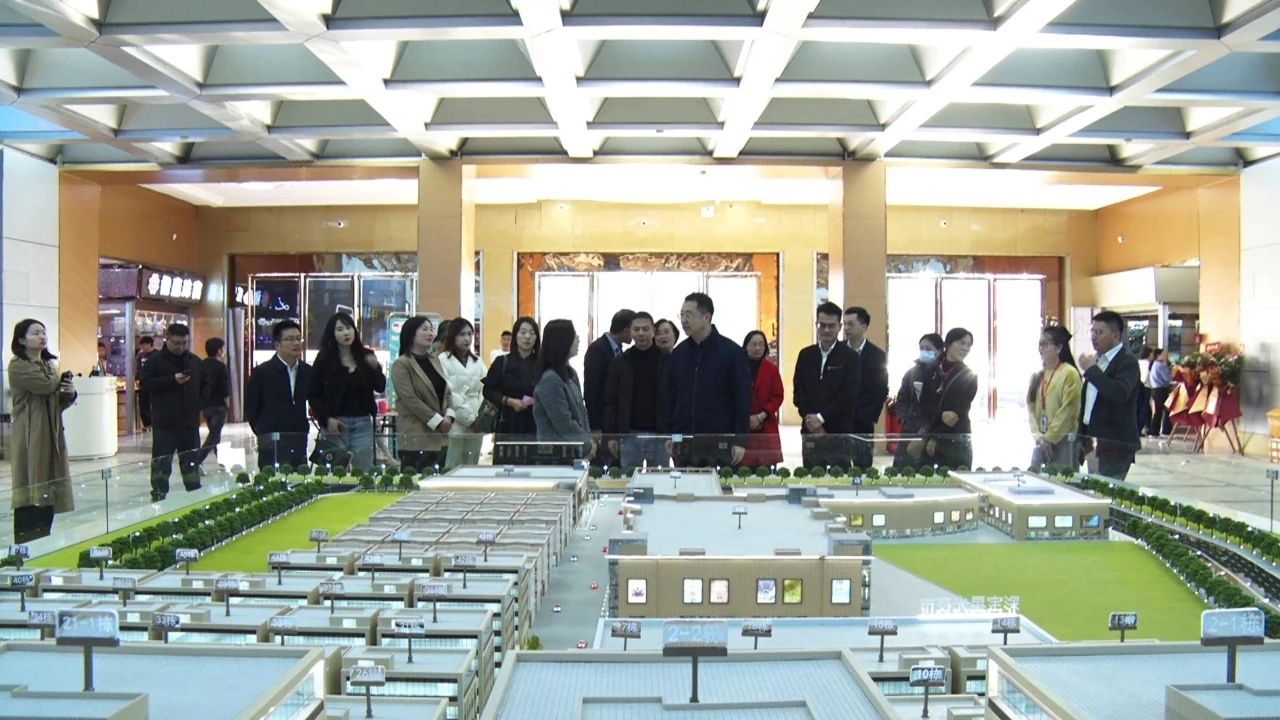 廣東省商務(wù)廳調(diào)研組到海豐調(diào)研跨境電商產(chǎn)業(yè)