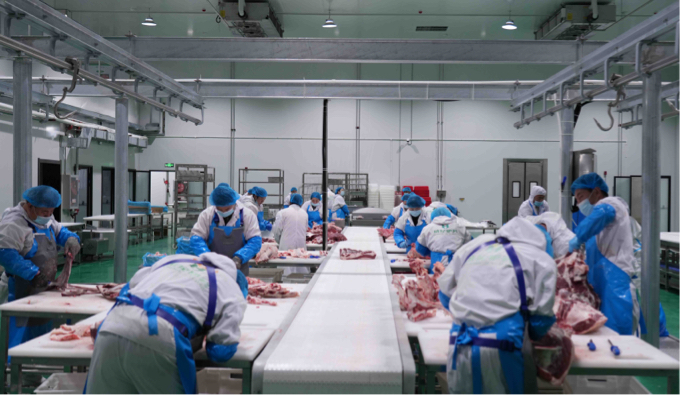 甘肅靜寧優(yōu)質(zhì)牛肉產(chǎn)品即將進(jìn)入國(guó)際市場(chǎng)