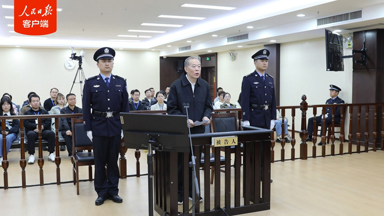 廣西壯族自治區(qū)人大常委會(huì)原副主任張秀隆一審獲刑13年