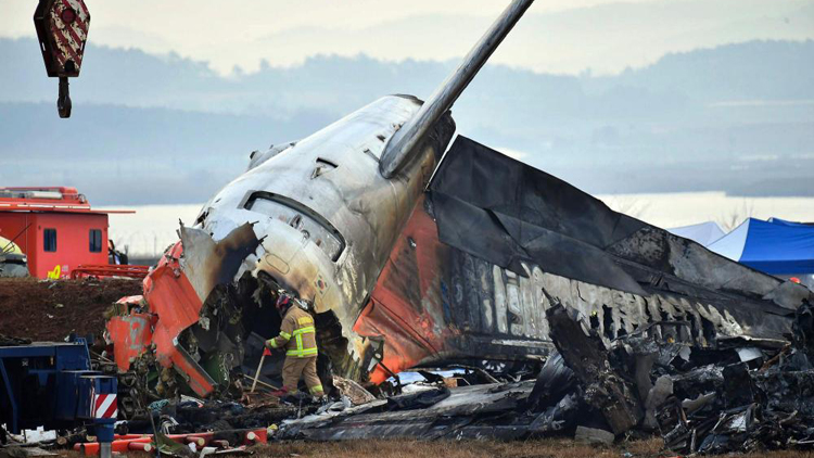 韓媒：韓國空難客機兩側(cè)發(fā)動機發(fā)現(xiàn)鳥羽