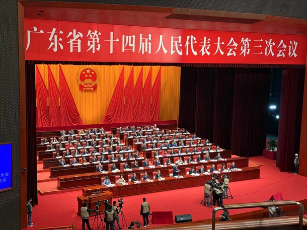 陳丹丹：廣東將繼續(xù)發(fā)揮奮進向前的排頭兵作用