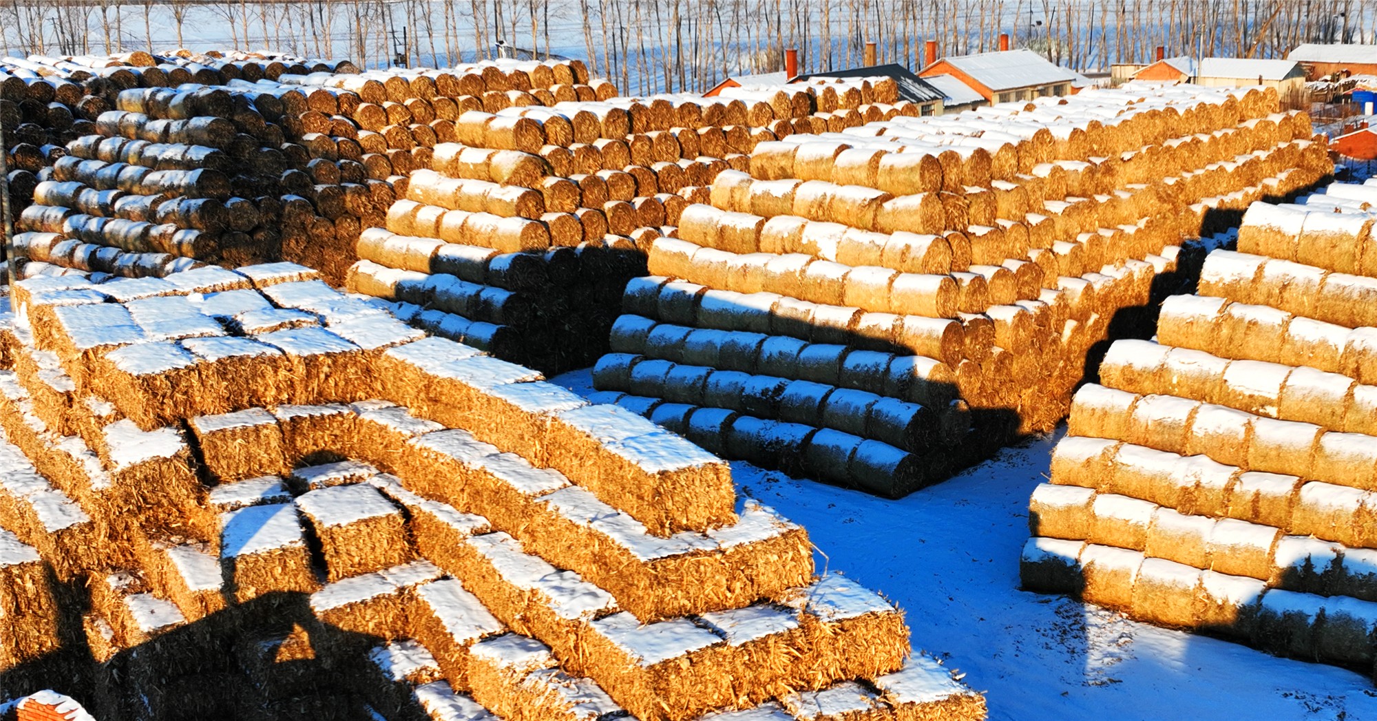 黑龍江慶安：推進(jìn)秸稈綜合利用 保護(hù)黑土藍(lán)天