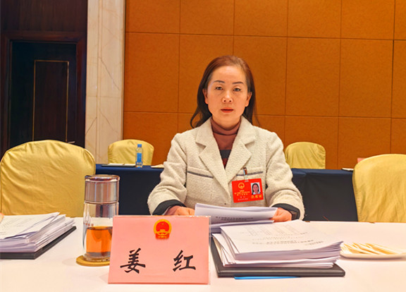 【安徽兩會(huì)】姜紅：推農(nóng)文茶旅融合發(fā)展  讓安徽成為世界康養(yǎng)目的地