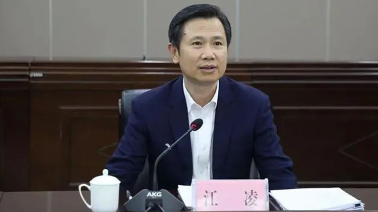 江凌當(dāng)選河南省人大常委會副主任 曾在廣東多地任職
