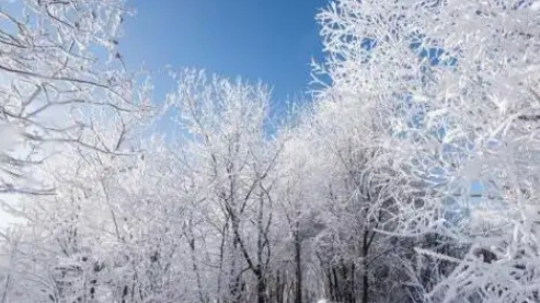 雨雪範(fàn)圍或波及全國！節(jié)前大寒潮將至 春運(yùn)返鄉(xiāng)需警惕