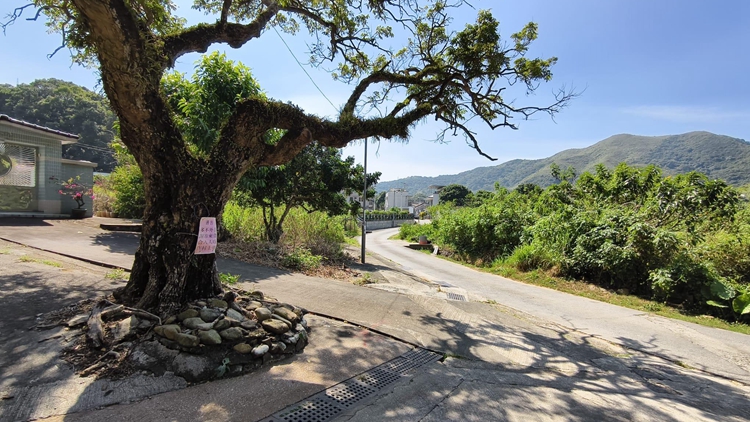 沙頭角蓮麻坑村附近邊境禁區(qū)路段開(kāi)放 乘坐專營(yíng)小巴通過(guò)無(wú)需申請(qǐng)通行證