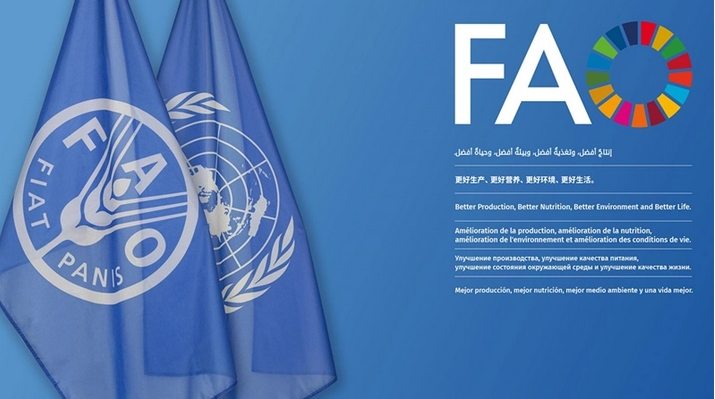 聯(lián)合國糧農(nóng)組織食品價(jià)格指數(shù)1月下行