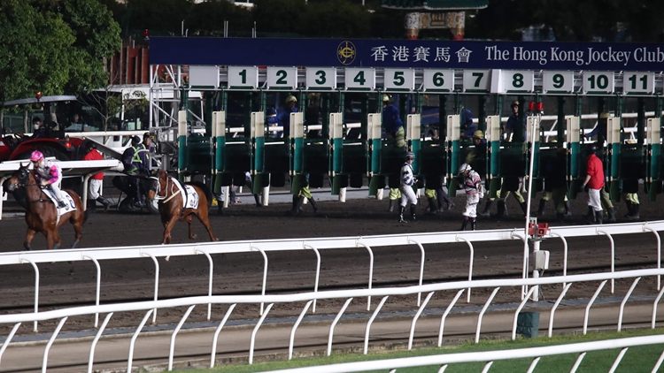 有片｜沙田馬場(chǎng)又出意外 2騎師出閘墮馬 幸無(wú)礙