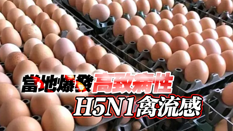 本港暫停進(jìn)口印度恰蒂斯加爾邦Raigarh地區(qū)禽蛋