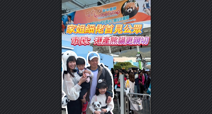 有片｜家姐細(xì)佬首見公眾 市民：港產(chǎn)熊貓寶寶更有親切感