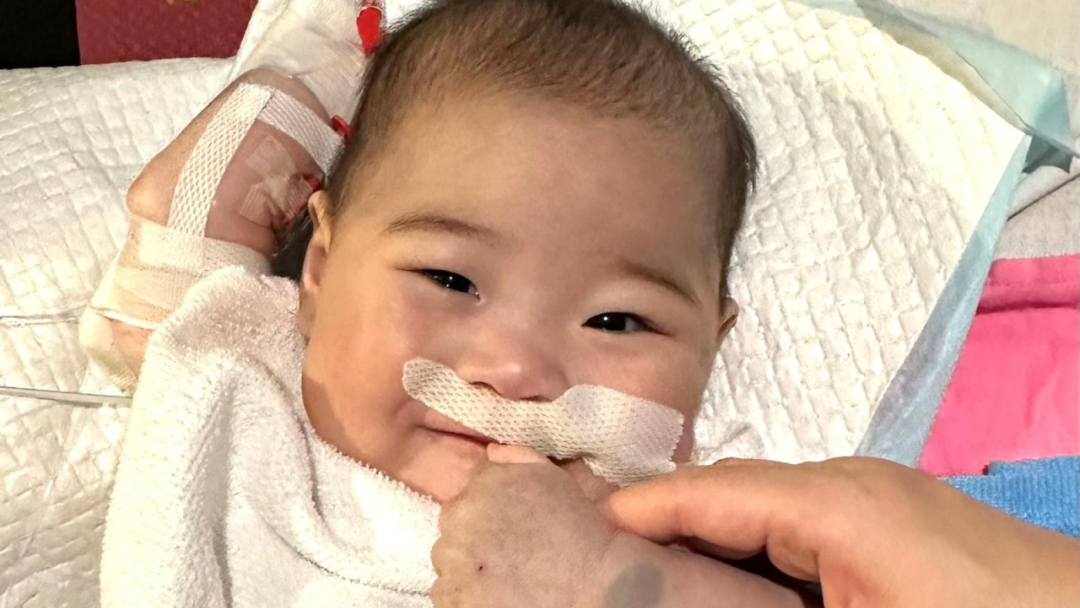 獲內(nèi)地跨境器官捐贈 女嬰祈祈完成心臟移植手術