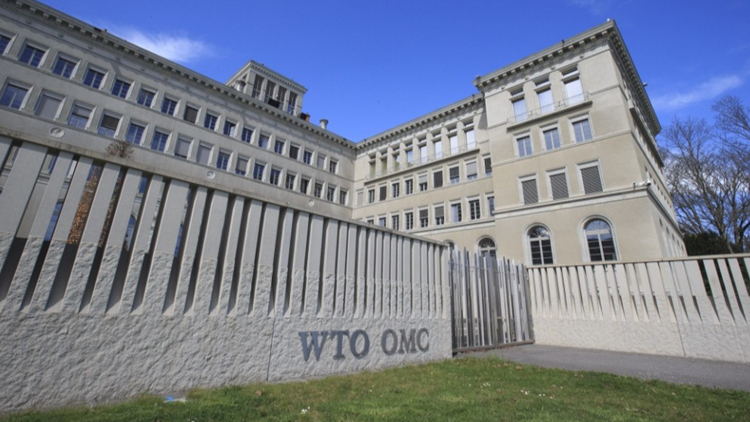 中方代表：美國(guó)單邊關(guān)稅政策給全球帶來(lái)衝擊