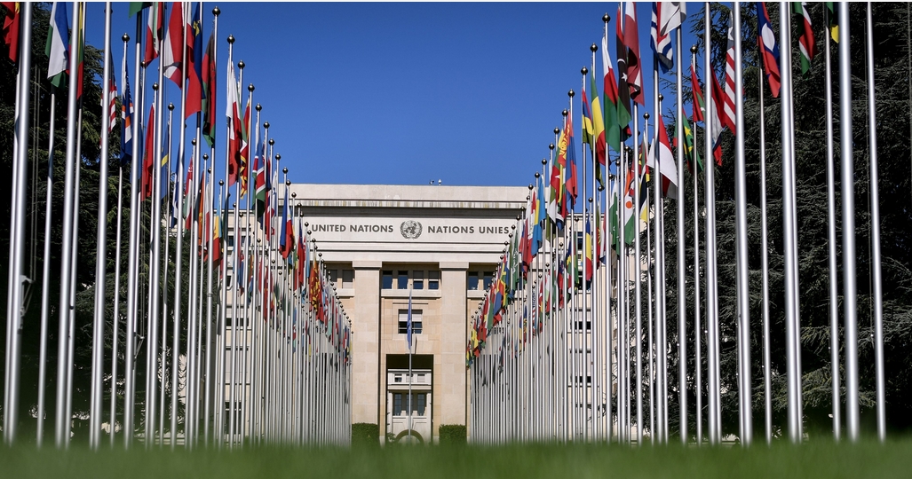 聯(lián)合國(guó)報(bào)告：反對(duì)針對(duì)巴勒斯坦的吞併和強(qiáng)行遷移 