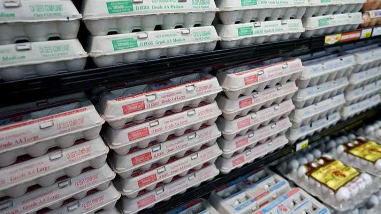 美國農(nóng)業(yè)部將斥資10億美元降低蛋價