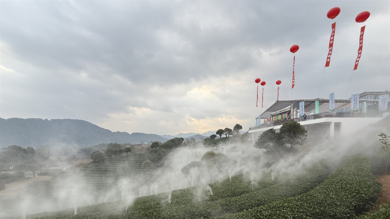 新式茶飲市場規(guī)模猛增  助廣西春茶走俏