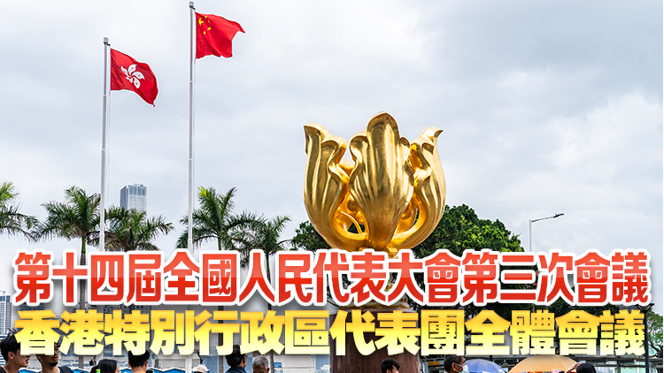直播｜十四屆全國人大三次會議香港特區(qū)代表團全體會議