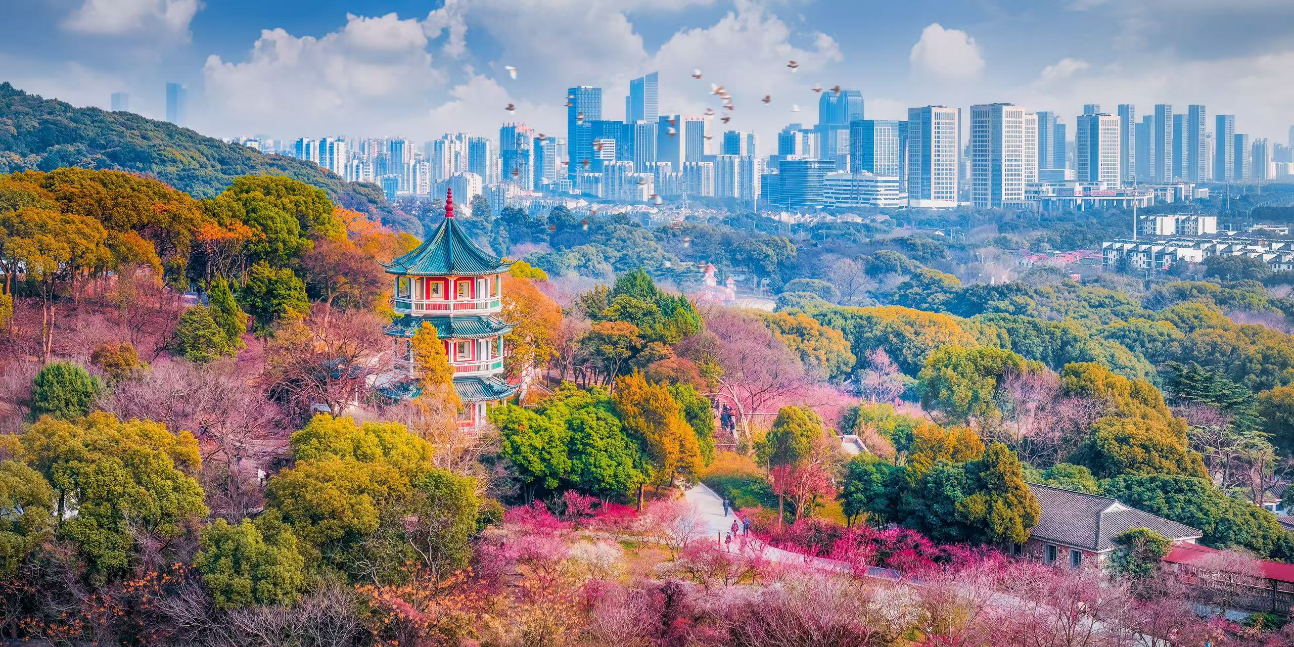 無錫：奮力以新的發(fā)展實(shí)績?yōu)槿珖缶肿鞒龈筘暙I(xiàn)