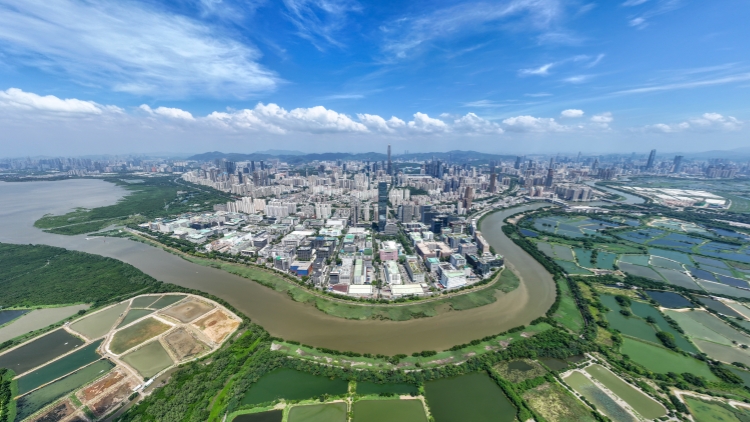 全國兩會｜胡曉明建議發(fā)展具國際影響力的創(chuàng)新科技生態(tài)圈 嚴(yán)厲打擊造假黑中介