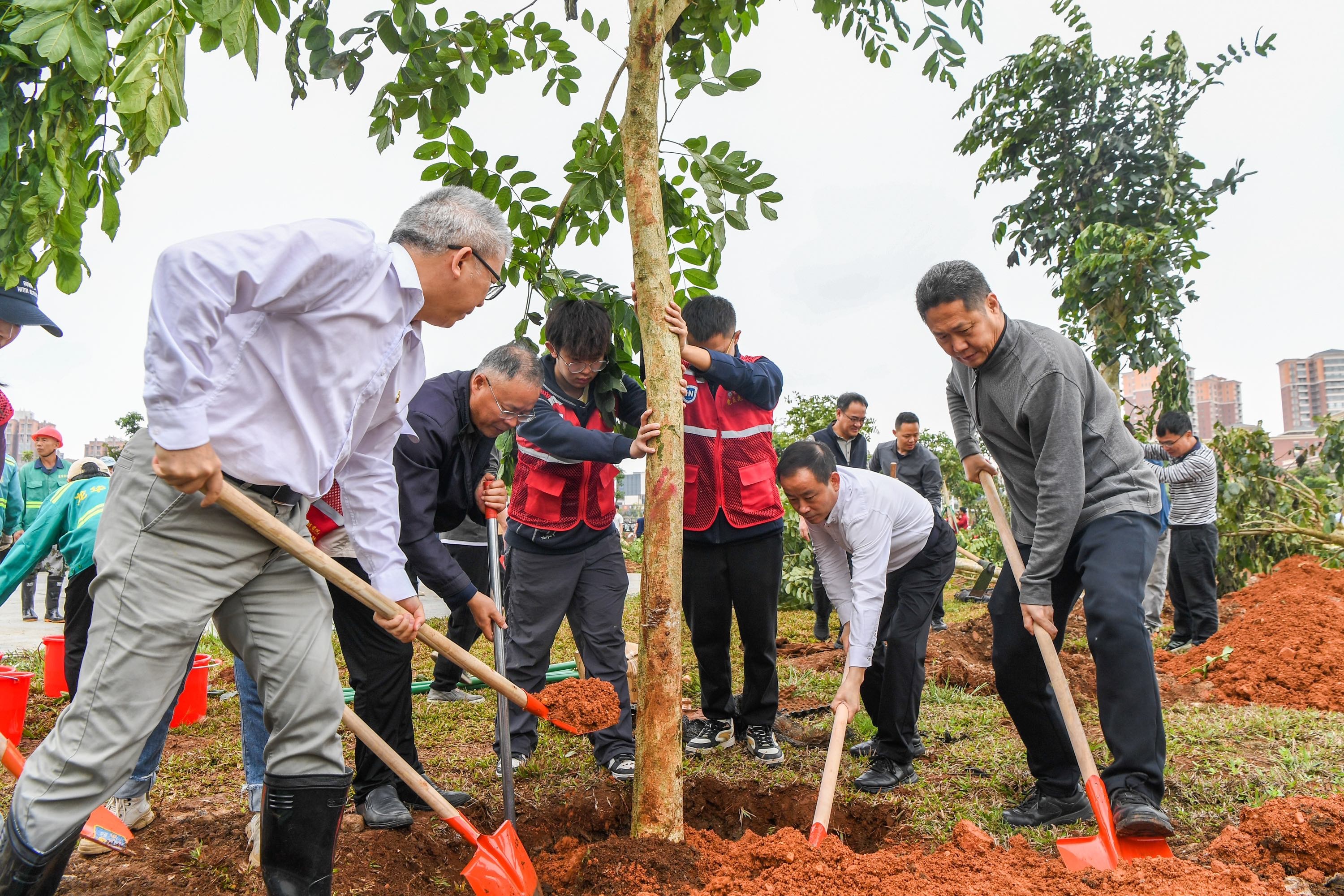 ?？谑旋埲A區(qū)組織開(kāi)展2025年義務(wù)植樹(shù)活動(dòng)