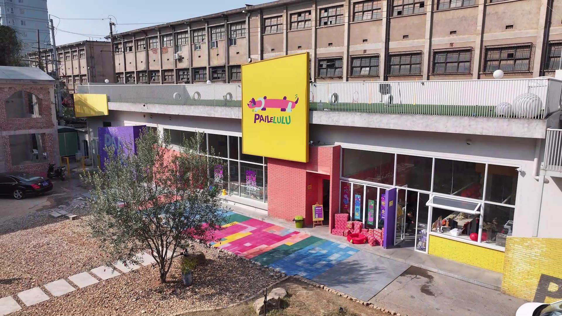 《在長沙 都實現(xiàn)》第十九集：「寵」出新花YOUNG！從養(yǎng)寵人到養(yǎng)寵創(chuàng)業(yè)人