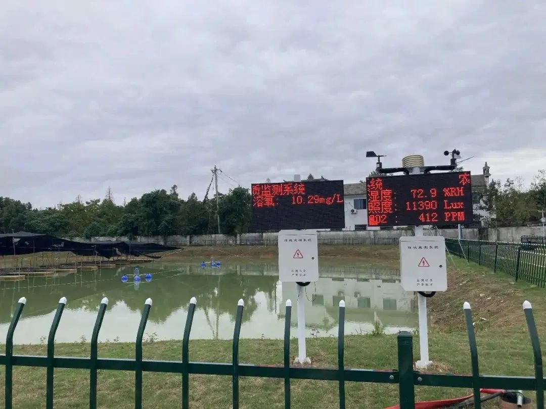 黃山徽揚物聯科技：推動產業(yè)數字化乘風起勢