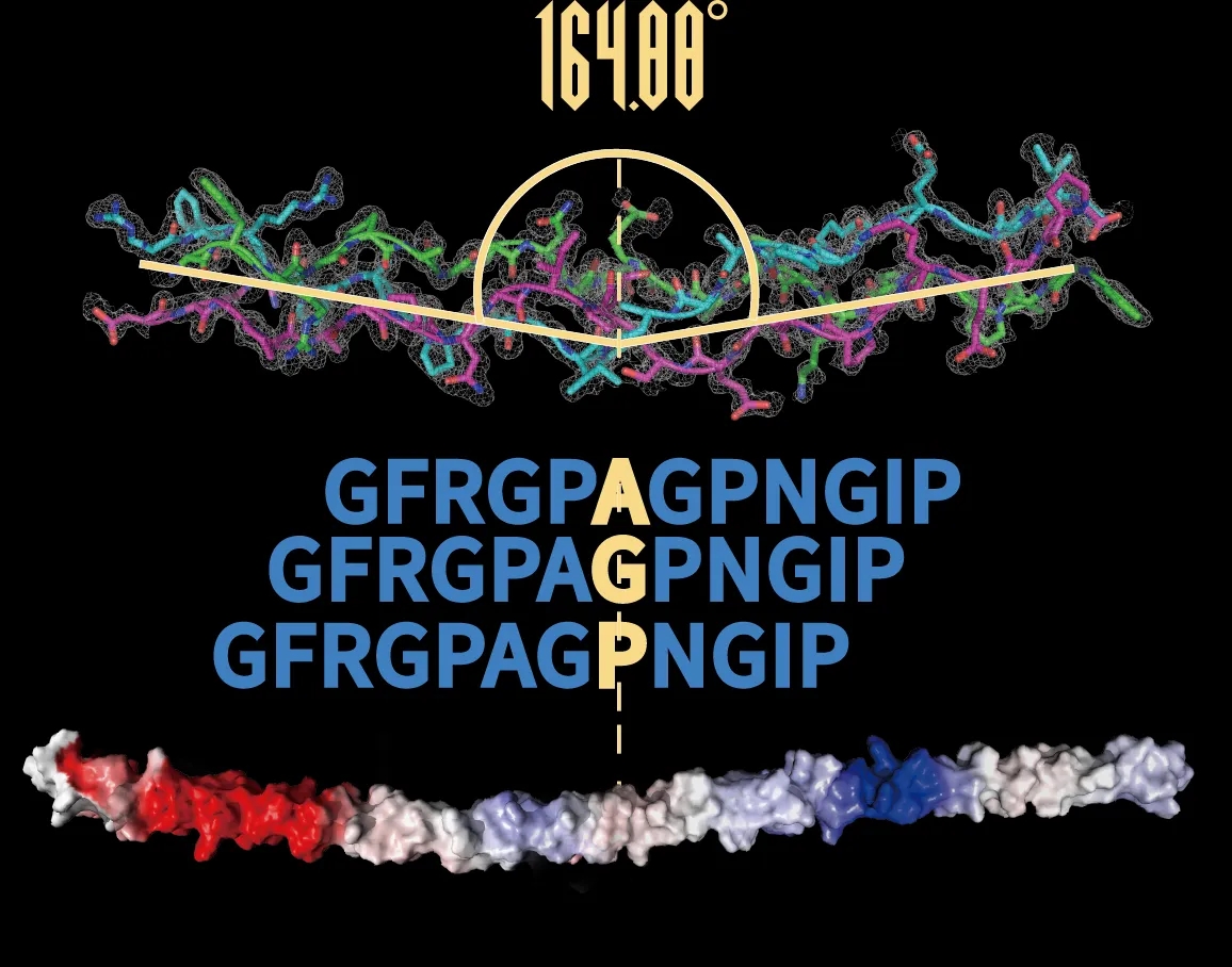 錦波生物獲權(quán)威認(rèn)可 以「透明革命」引領(lǐng)行業(yè)高質(zhì)量發(fā)展