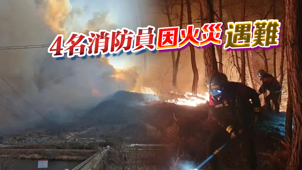 韓國宣布多地進入「災難狀態(tài)」