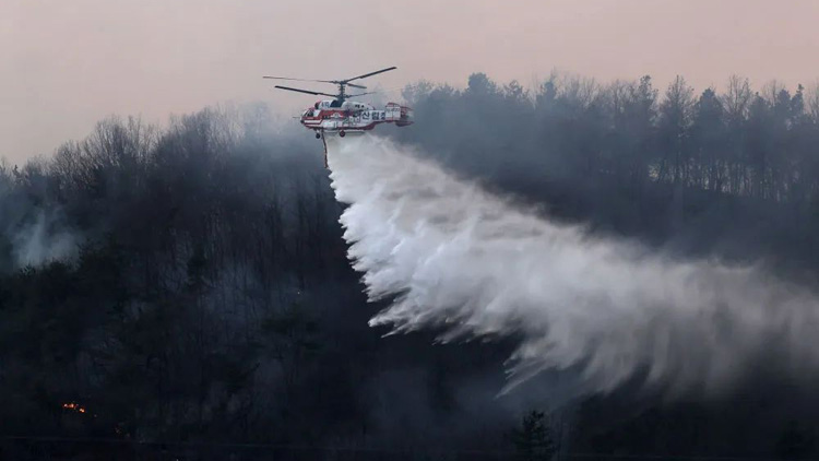 韓國東南部爆發(fā)山火 多地進入「災(zāi)難狀態(tài)」