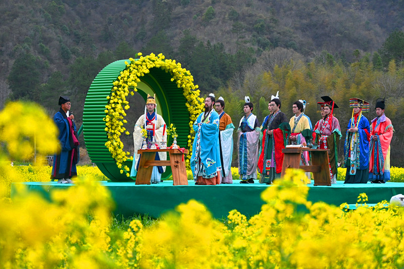 皖休寧縣：白岳花海繪就文旅「新春色」