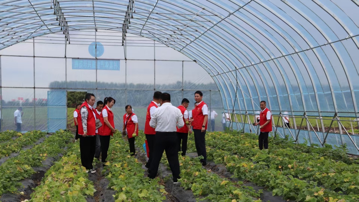 全省唯一入選！黑龍江寶清縣「領(lǐng)頭雁」工程入選黨建引領(lǐng)鄉(xiāng)村治理典型案例