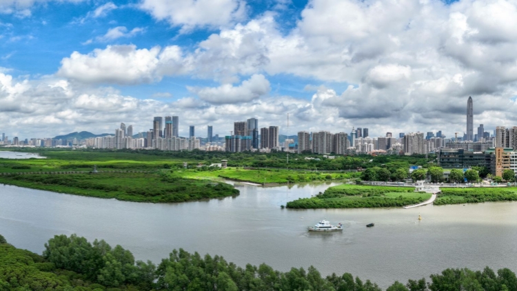 深圳探索建立房票制度 推動(dòng)多元化安置補(bǔ)償