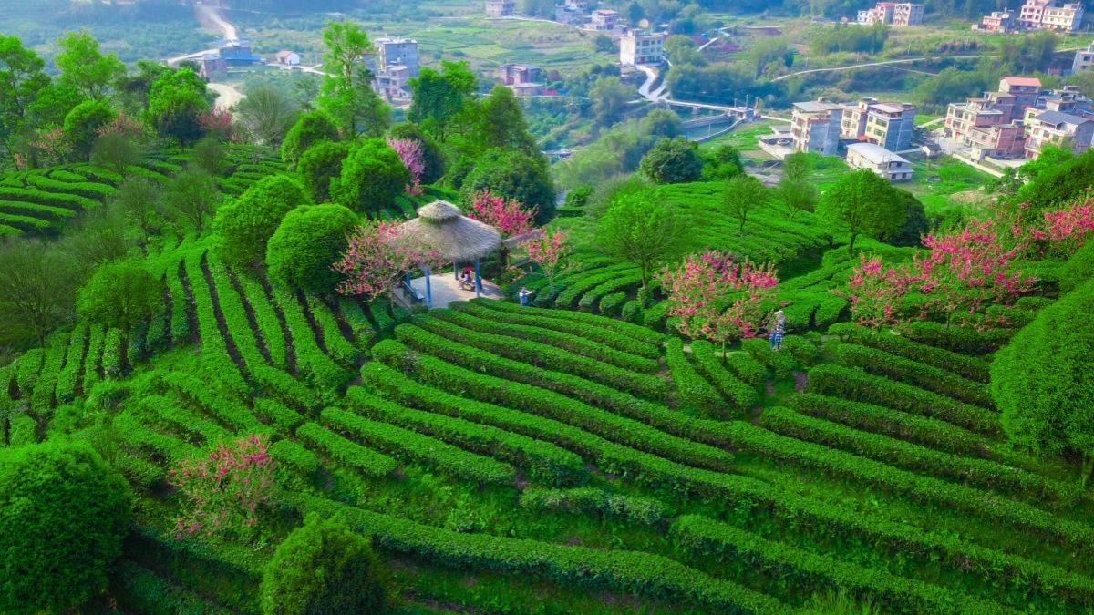 桂賀州市推出「廣西三月三」精品旅遊線路迎八方來(lái)客