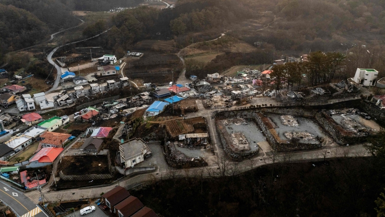 韓國森林大火懷疑為祭祖引發(fā)