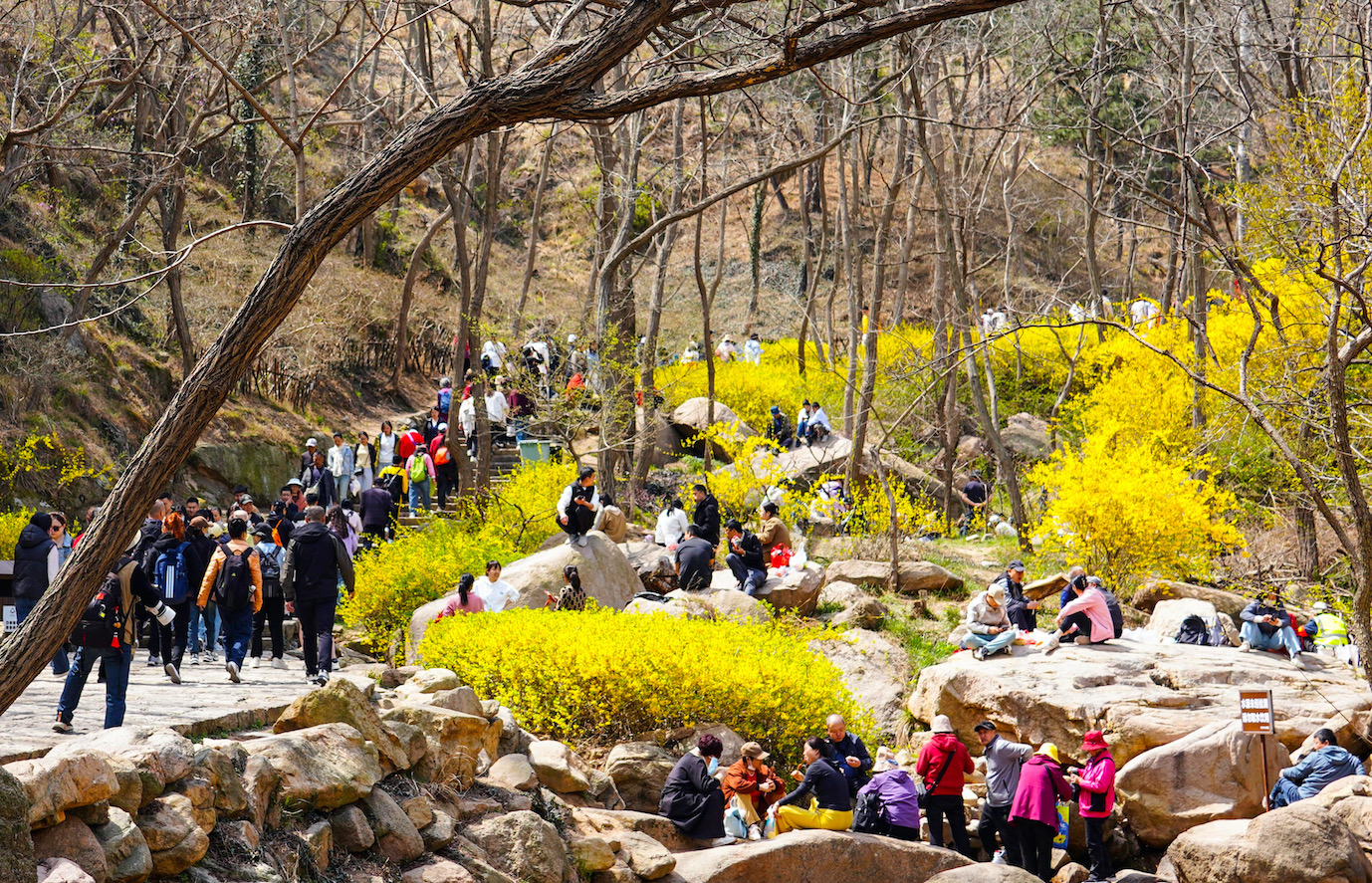 2025青島「花開西海岸」春遊季啟動(dòng)