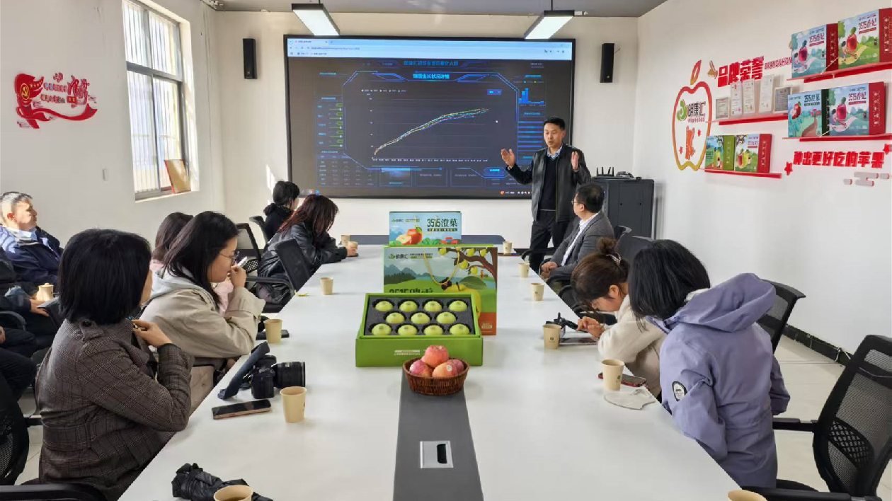 澄城海澄果業(yè)：打造高端蘋果品牌 冀開拓國(guó)際市場(chǎng)