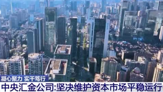 有片 | 「國家隊」出手維護資本市場平穩(wěn)運行 專家解讀