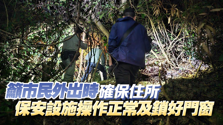 復活節(jié)假期警方聯(lián)同飛行服務隊港島巡邏 展開反爆竊行動