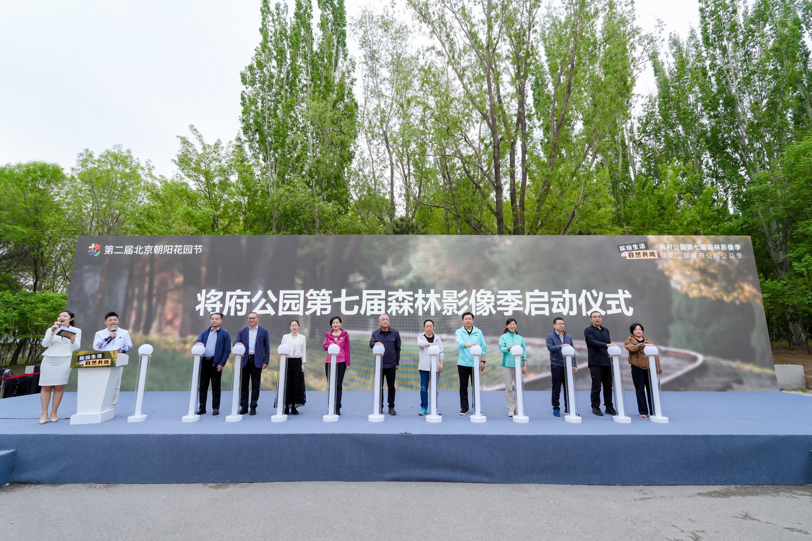 打卡北京最美二月蘭花海 北京朝陽(yáng)將府公園第七屆森林影像季啟幕