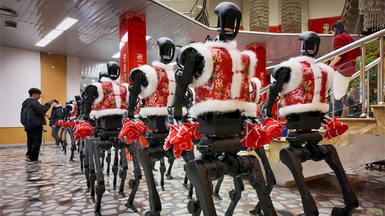 王興興回應(yīng)宇樹機器人春晚癱倒：誤按急停按鈕